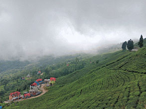 चिया टिप्न हातेमेसिन प्रदान गर्दै सूर्योदय नगरपालिका