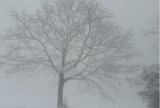 हुम्लामा हिउँमा फसेका तीन कर्मचारीको उद्धार