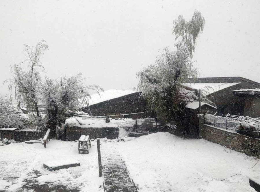 Humla-Snowfall-11701666300.jpg